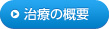治療の概要